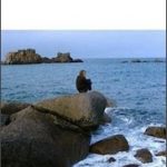 Le crieur de nuit, un roman autobiographique de Nelly Alard