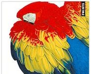 La solitude du « client »