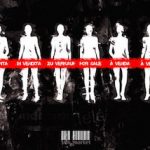 Arrestations à l’Artemis de Berlin